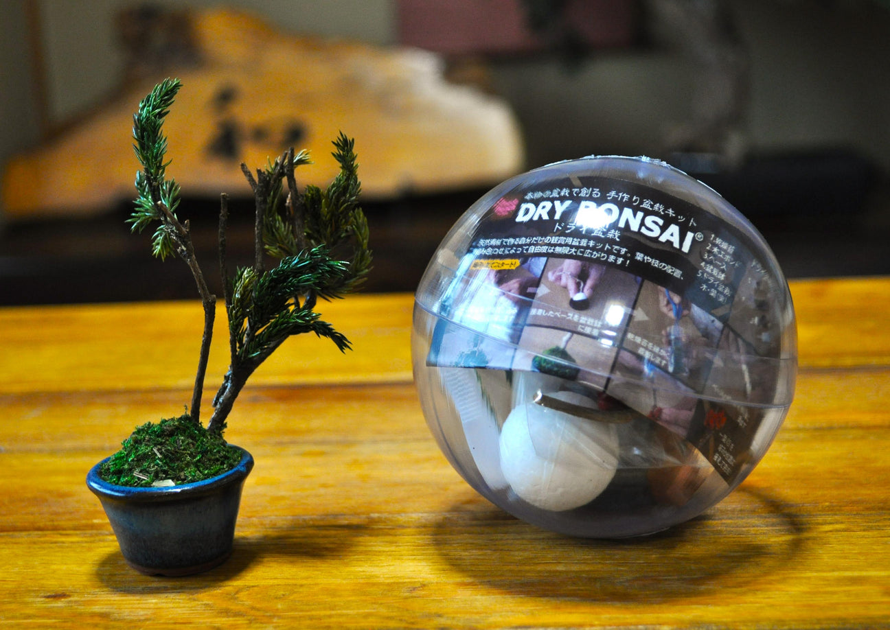 "DRYBONSAI" DIY Capsule set sales start.