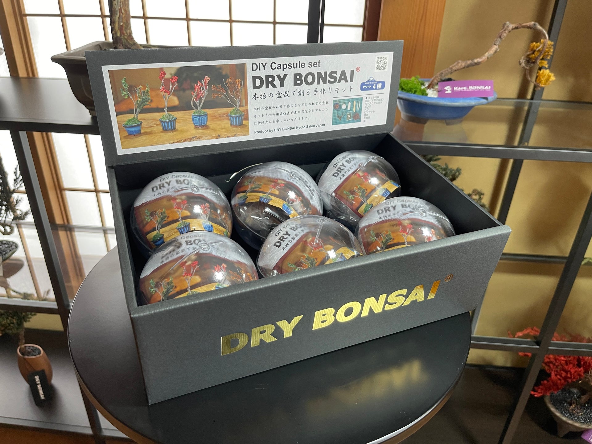 S-02 DRY BONSAI (Variety box of 6 gift capsules )